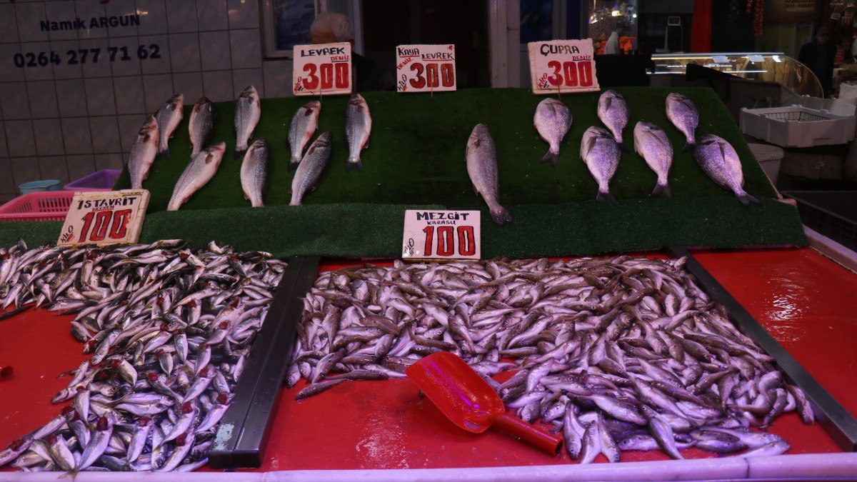 Sakarya’da kilosu 100 liradan satılan istavrit, hamsiyi geride bıraktı